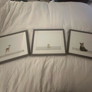 Restoration Hardware Baby Animal Set of 3 Weathered Grey Frame